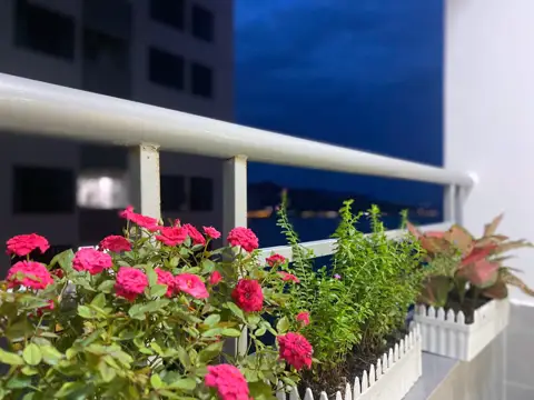 Căn hộ 3308 OC2B Mường Thanh Viễn Triều — ảnh 26